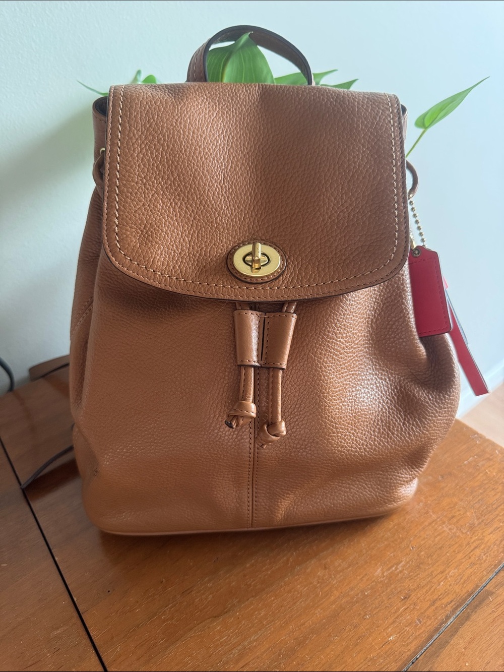 Coach Park Leather Backpack